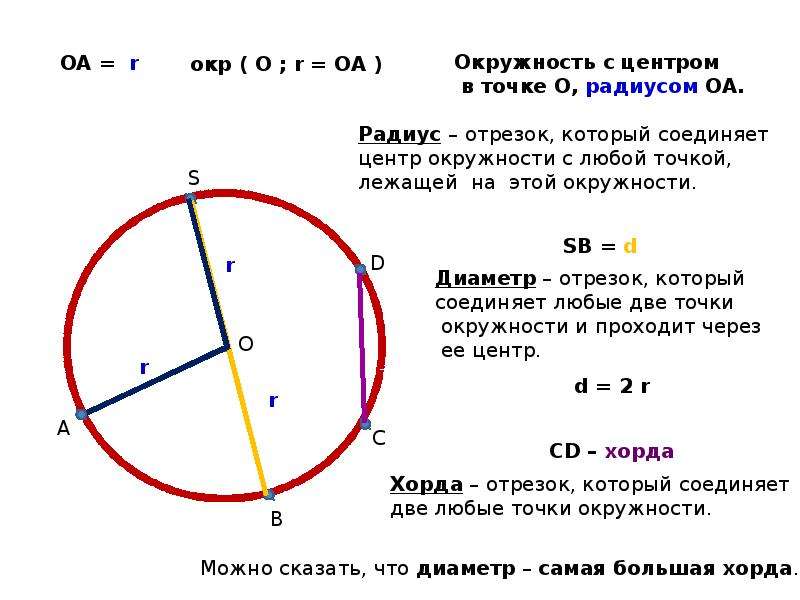 Середина радиуса. Центр окружности. Центр и радиус окружности. Центр окружности круга это. Радиус это отрезок.