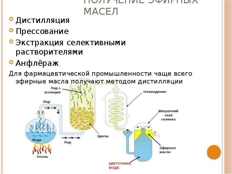 Что такое экстрагирование волос