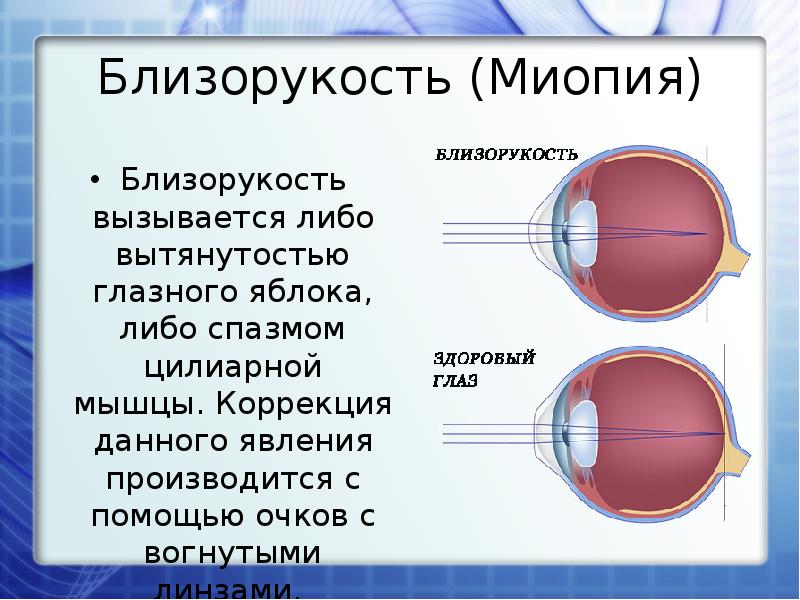 Презентация по физике 8 класс на тему глаз