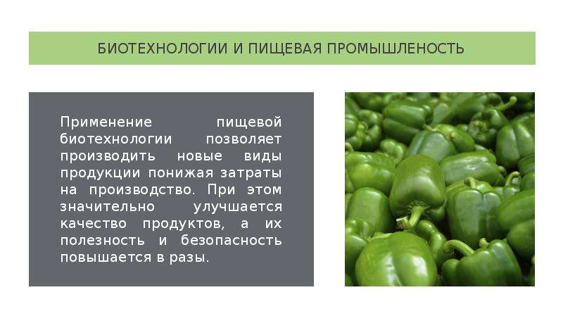 Биотехнологии в пищевой промышленности. Пищевая биотехнология. Пищевой биотехнолог. Применение биотехнологий.