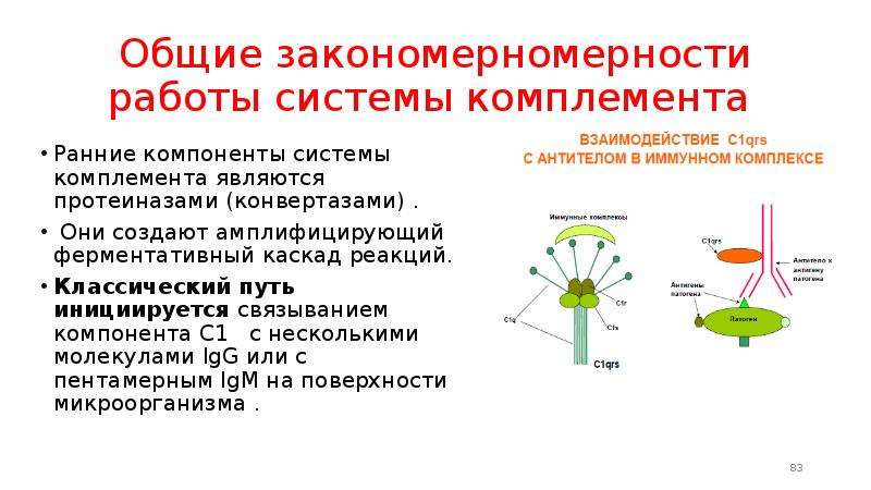 C компоненты