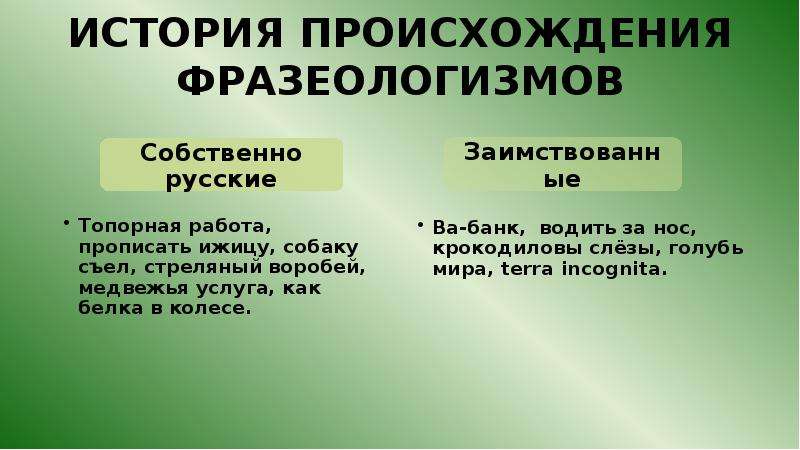 Роль фразеологизмов в современном русском языке проект 11 класс