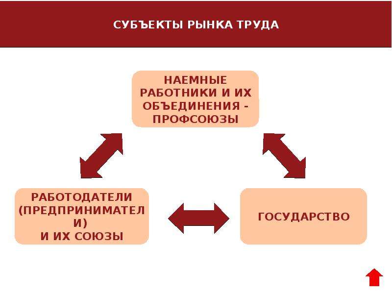 Субъекты рынка труда. Субъекты и объекты рынка труда. Функции субъектов рынка труда. Субъекты рынка труда схема.