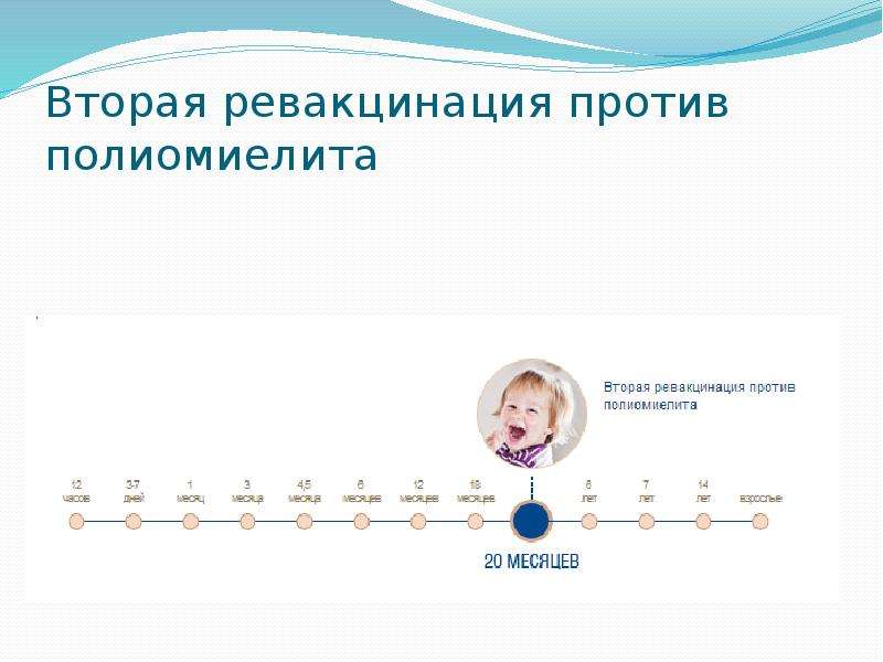 Полиомиелит график прививок россия