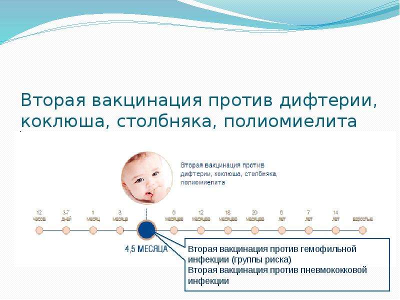 Вакцинация коклюш схема