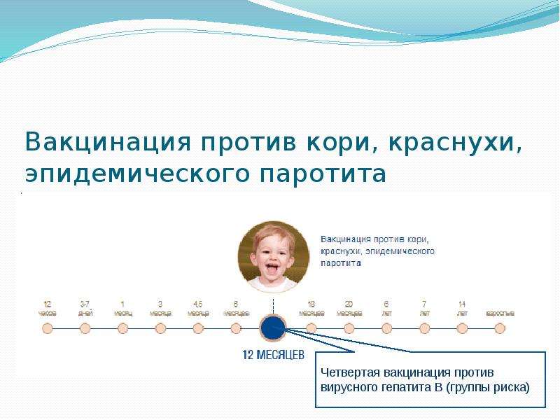 Вакцинация детей против кори краснухи эпидемического паротита проводится по схеме аккредитация