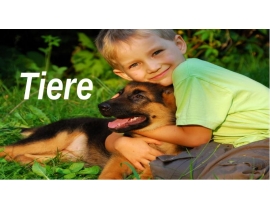 Tiere