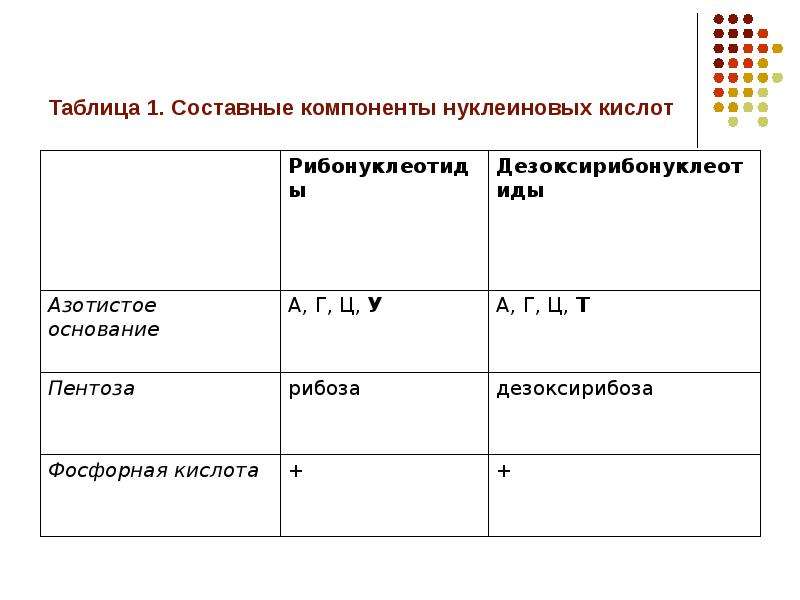 Белки и нуклеиновые кислоты презентация