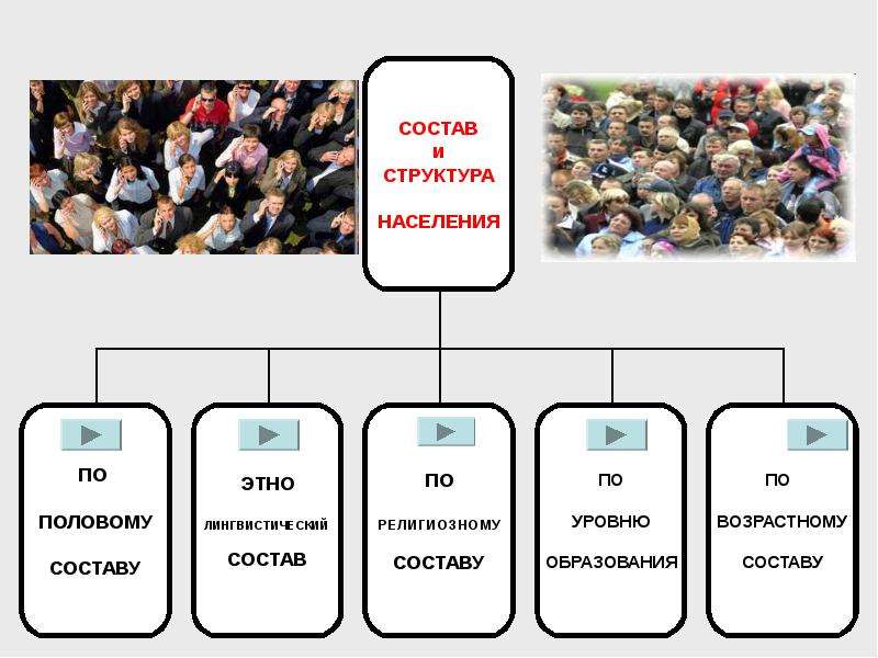 Население география 10. Состав и структура населения. Структура населения это в географии. Состав и структура населения мира. Структура населения мира 10 класс.