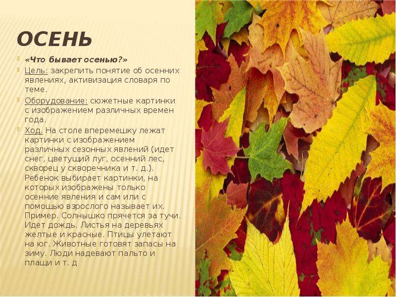 Подбери осенние слово. Словарик на тему осень. Что бывает осенью. Осень что бывает осенью. Осенние слова.