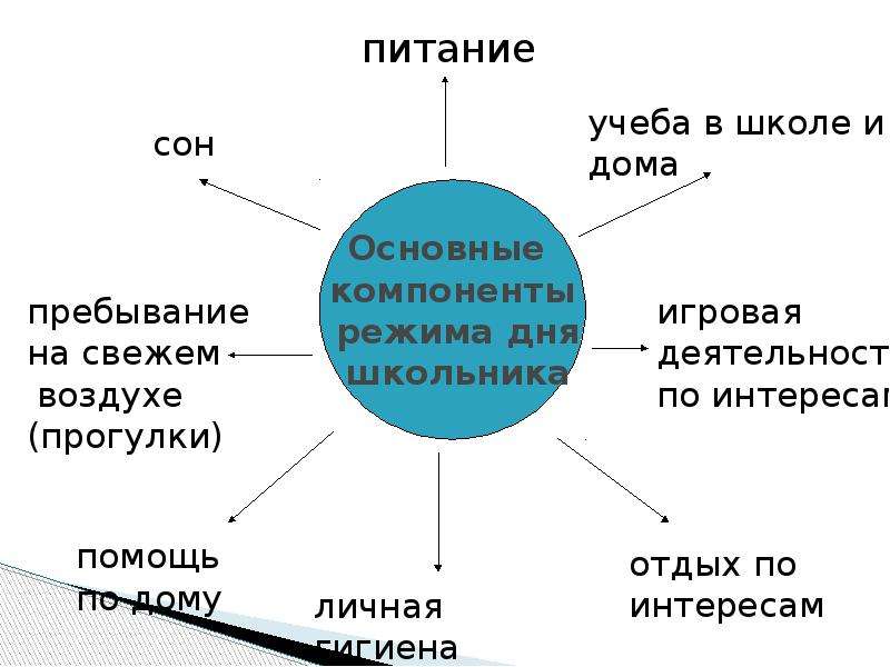 Перечисли режимы. Компоненты режима дня. Основные элементы режима дня. Осервные элементы режима дея. Основные компоненты режима дн.