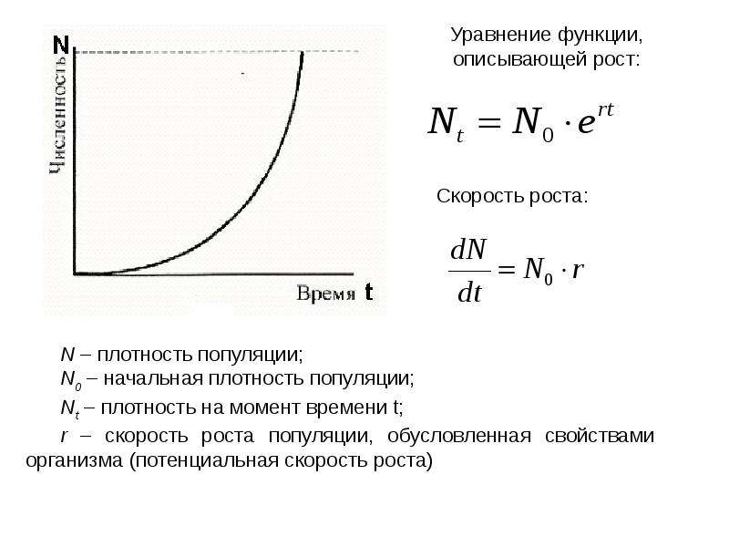 Скорость роста. Скорость роста популяции формула. Удельная скорость роста популяции. Мгновенная скорость роста популяции. Мгновенная Удельная скорость роста популяции.