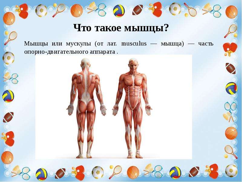 Сколиоз это поправимо проект по физкультуре