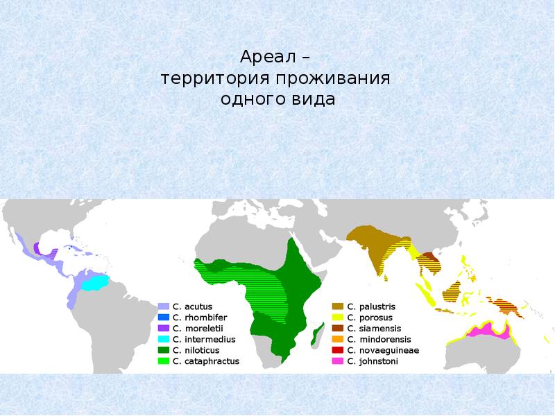 Определенный ареал. Территория проживания. Ареал территория. Ареалы населения. Территория (ареал) размещения населения..