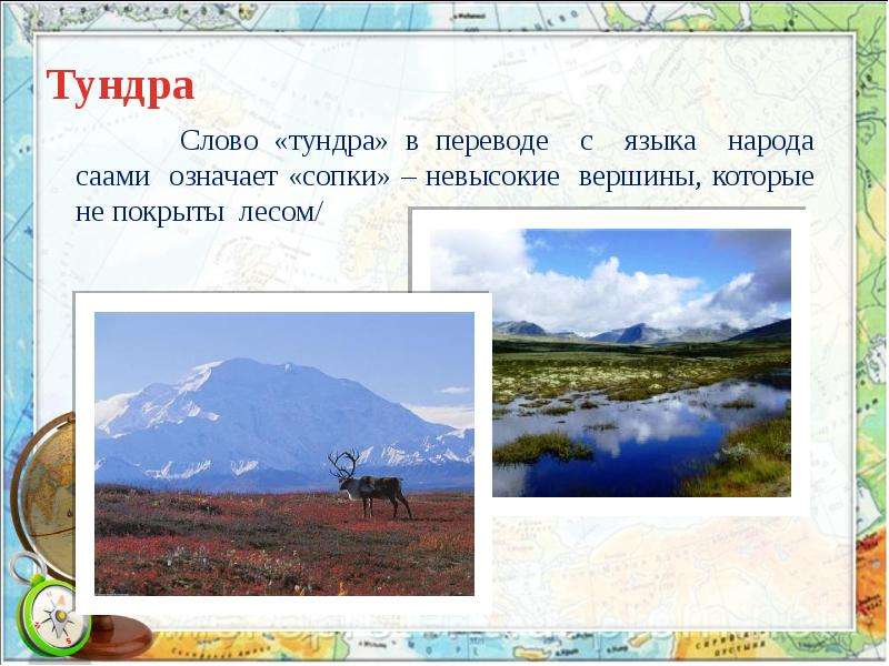 Тундра тест 4. Что означает слово тундра. Как переводится термин тундра. Происхождение слова тундра. Значение слова тундра 3 класс в словаре.