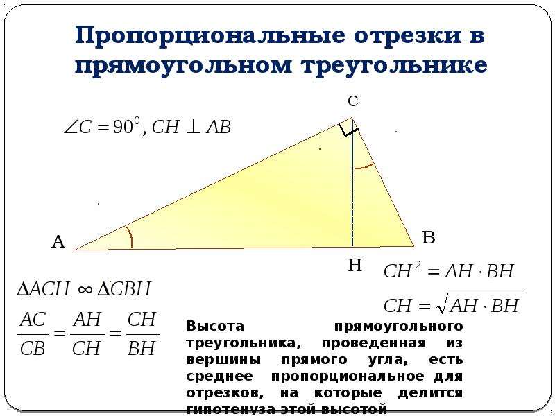 Геометрия пропорциональные отрезки