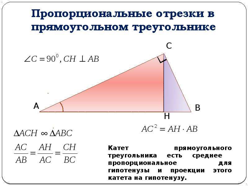 Пропорциональные отрезки рисунок