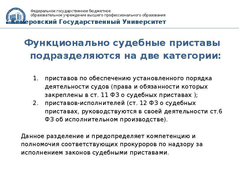 Кто осуществляет государственный надзор за исполнением законодательства рф службы в овд