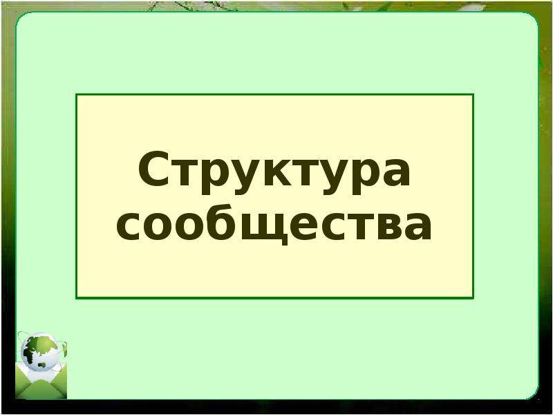 Экологические сообщества. Экологические сообщества 11 класс презентация.