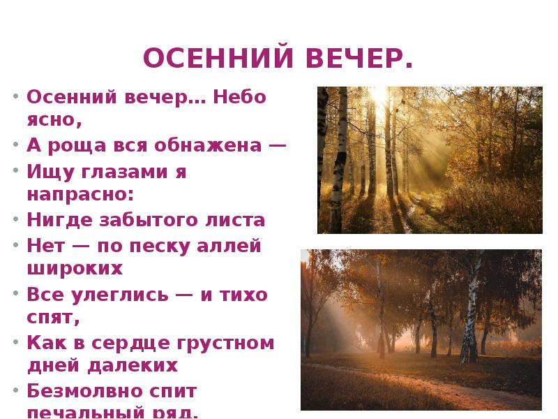 Осенний вечер стих