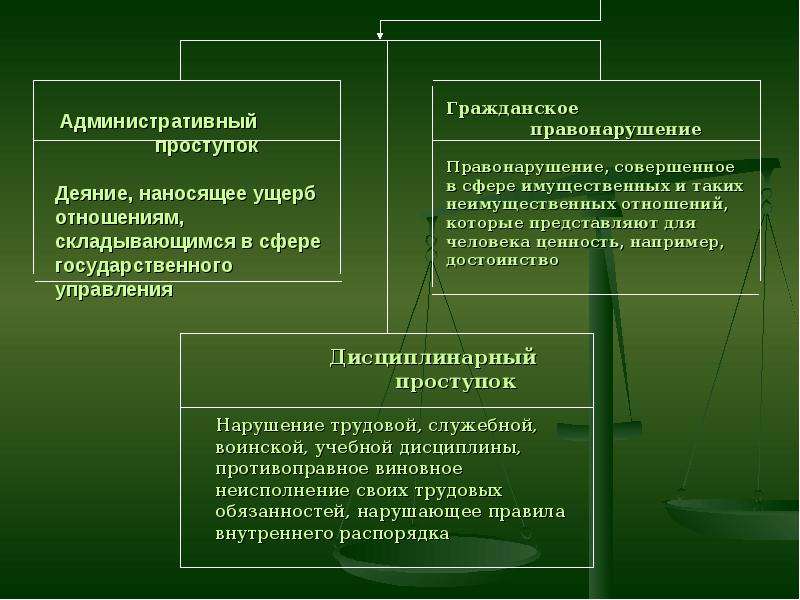 Социально правовая сфера