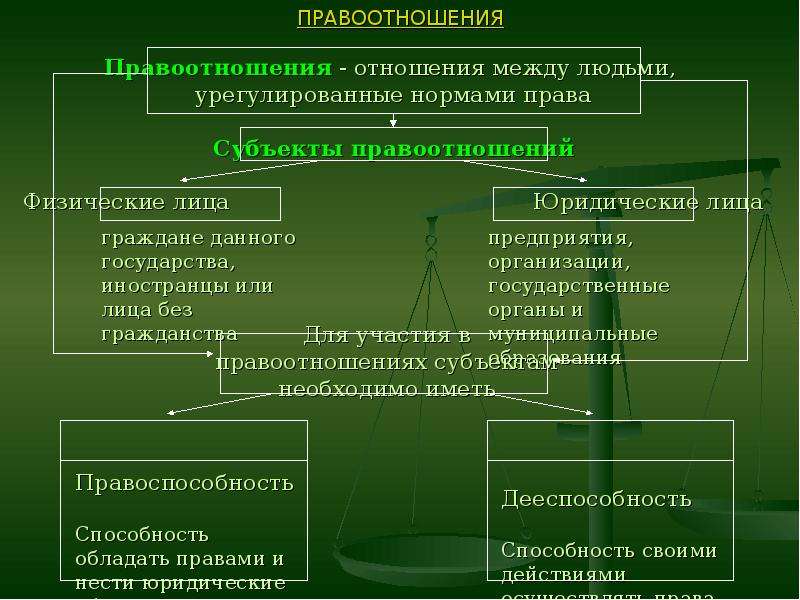 Сферы правового государства