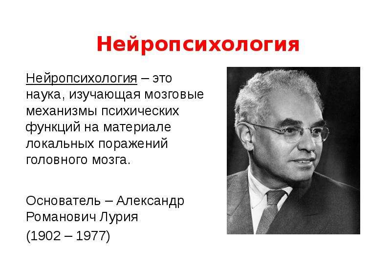 Нейропсихология. Клиническая психология Лурия. Лурия нейропсихология. Ученые нейропсихологии. Родоначальник нейропсихологии.