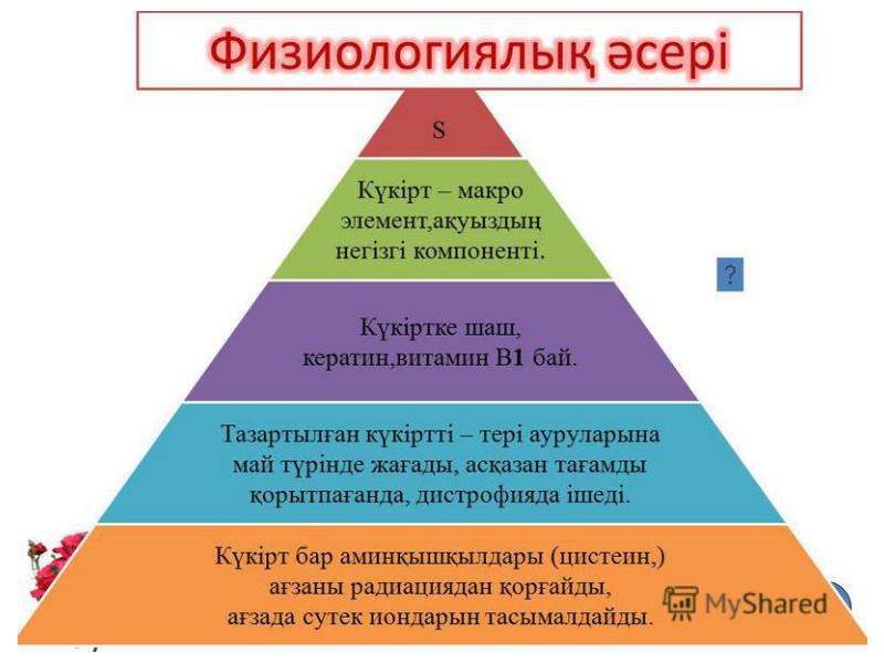 Амин қышқылдары презентация