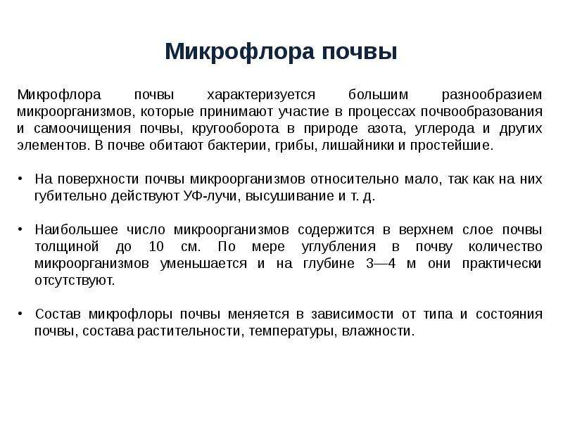 Микрофлора почвы микробиология. Микрофлора почвы. Микрофлора почвы кратко. Микрофлора почвы схема. Почвенная микрофлора.