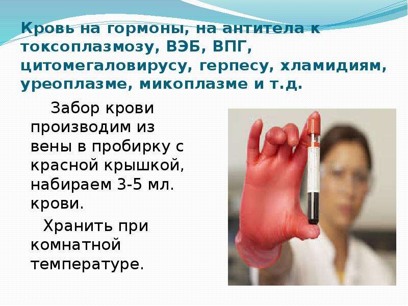 Сколько крови в новосибирске. Забор крови для гормонального исследования. Кровь из вены на антитела.