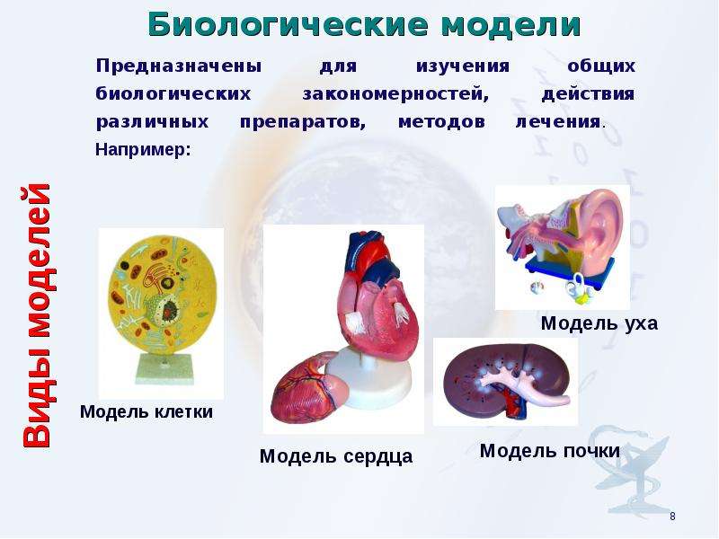 Формы и типы разнообразия - Telegraph