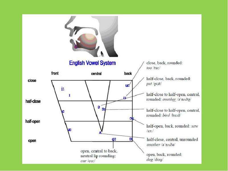 Vowels перевод