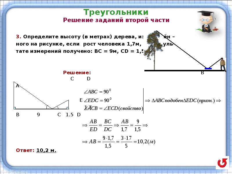 На рисунке изображены здание и дерево стоящее рядом высота дерева равна 7 м