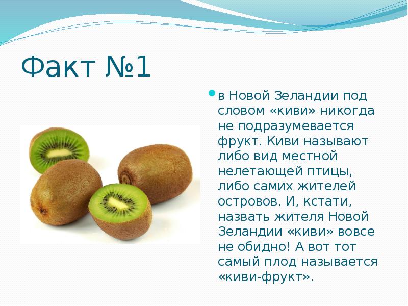 Почему киви назвали киви. Киви интересные факты для детей. Сообщение о киви фрукт. Презентация про киви фрукт. Доклад о киви фрукт.