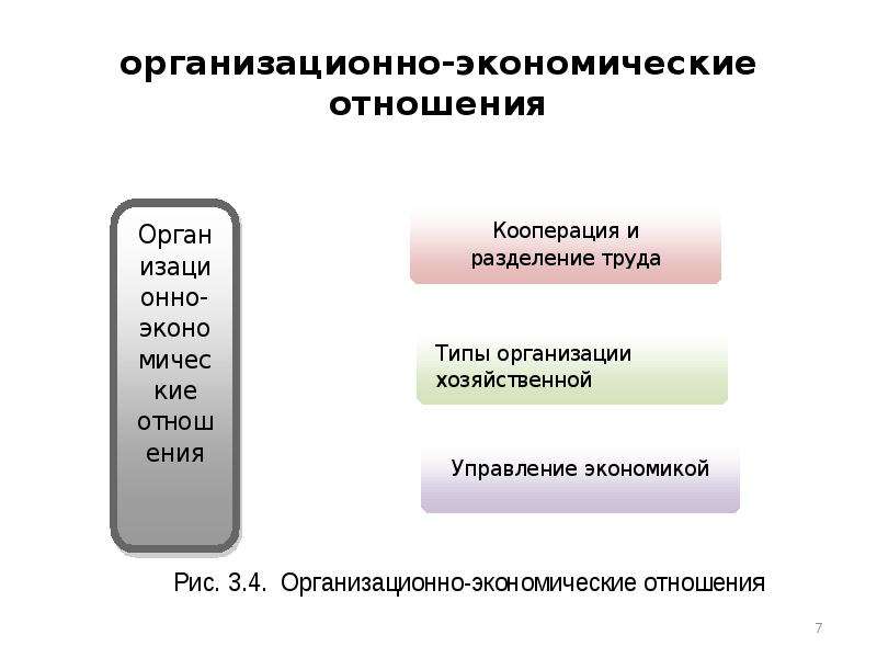 Экономические интересы презентация