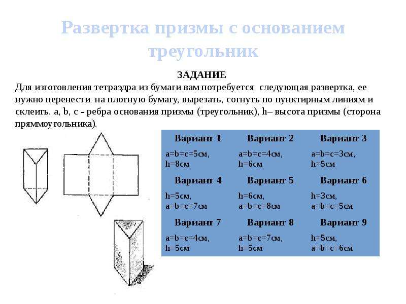 Развертка проект по математике