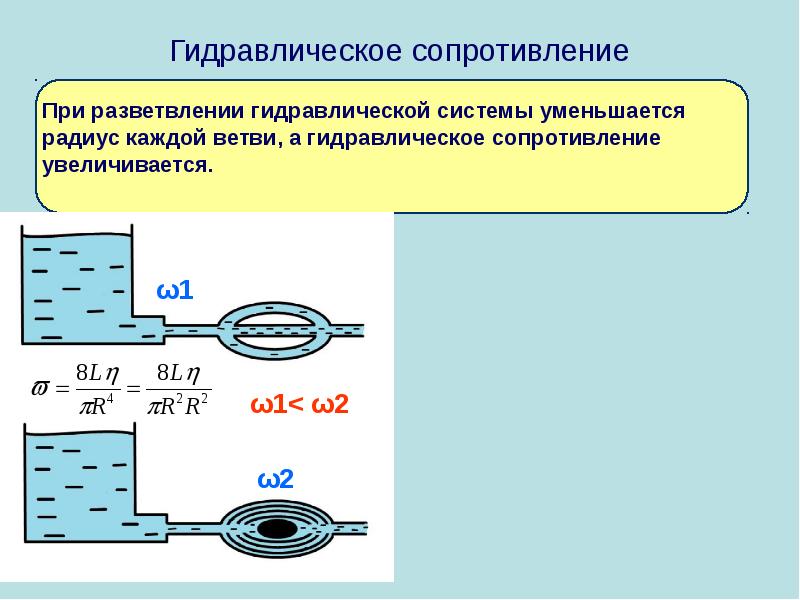 Гидродинамика глаза