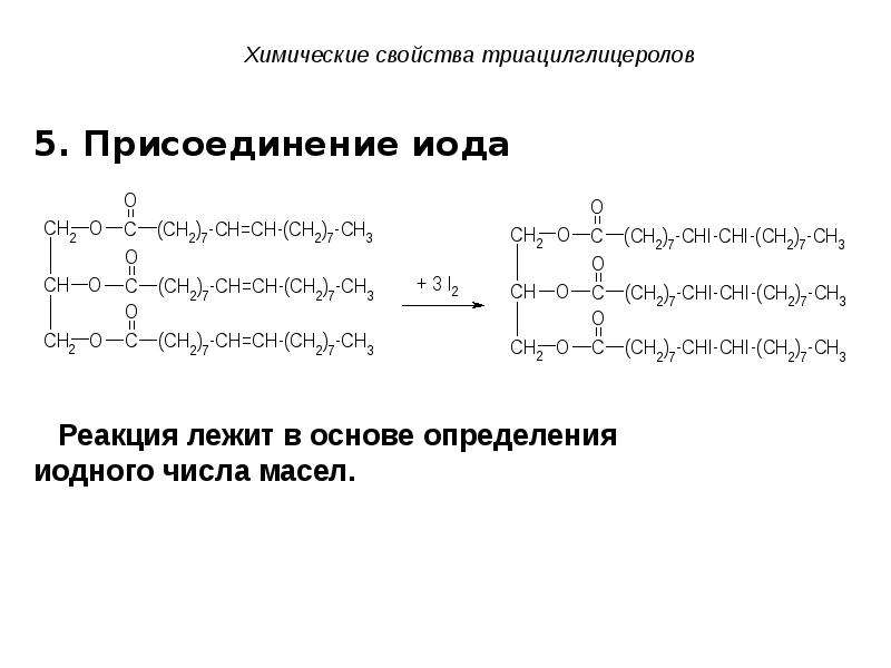 Общее свойство липидов