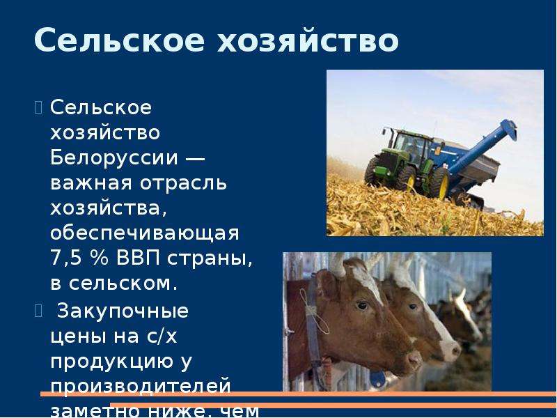 Сельское хозяйство Сельское хозяйство Белоруссии — важная отрасль хозяйства, обеспечивающая 7,5 % ВВ