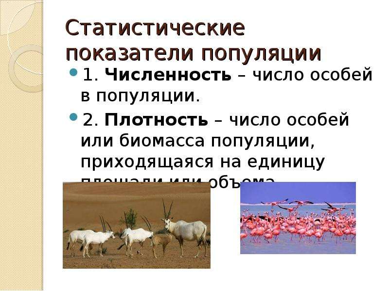 Совокупность популяций растений животных. Статистические показатели популяции. Популяционная экология. Показатели структуры популяции. Биологические показатели популяции.