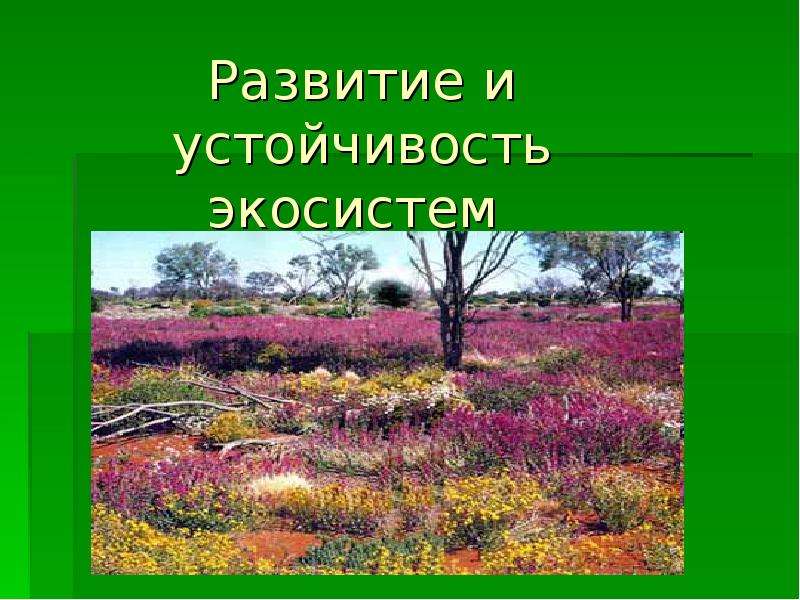 Доклад: Развитие экосистем