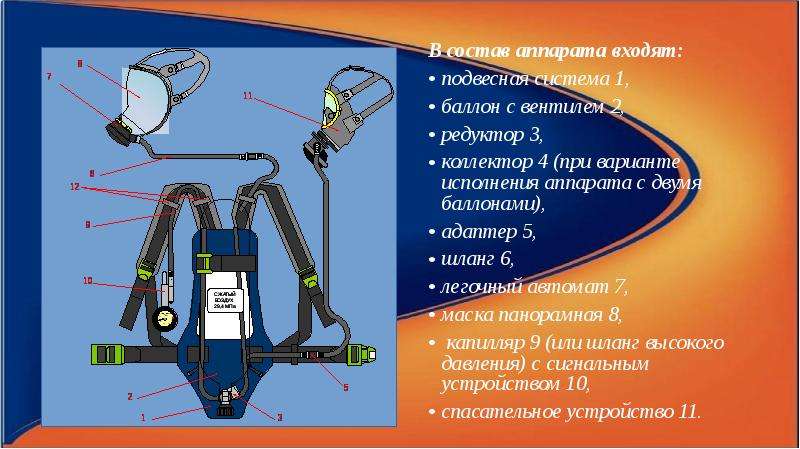 Принципиальная схема дыхания в дасв