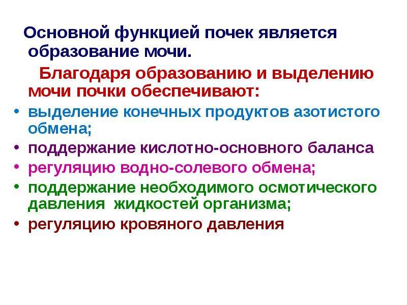 К функциям почек относятся