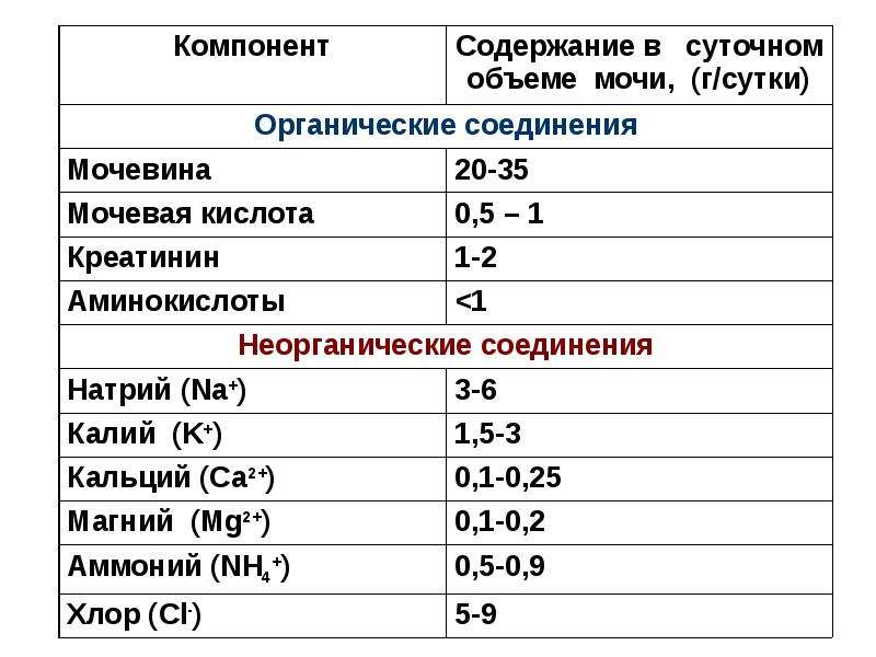 Биохимия мочи презентация