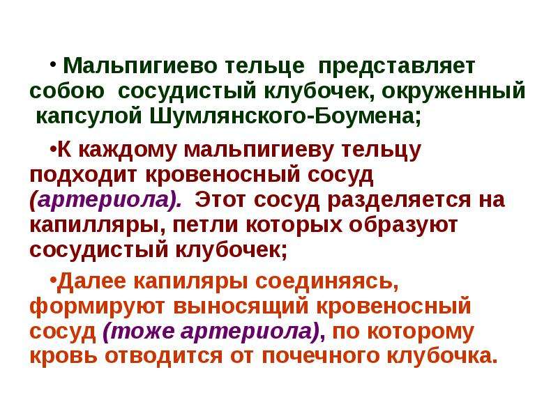 Клиническая биохимия почек презентация