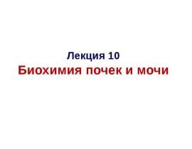 Биохимия почек и мочи. (Лекция 10)