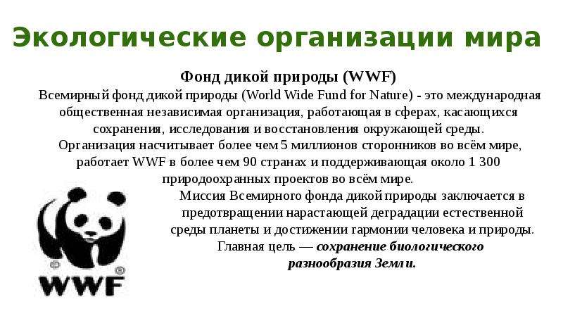 Экологические организации. Организации экологические организации. Сообщение об экологической организации. Международные экологические организации мира.