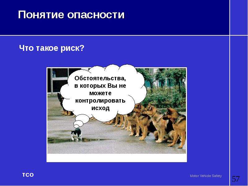 Понятие опасность