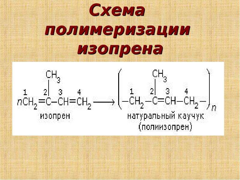 Презентация натуральный каучук 10 класс рудзитис