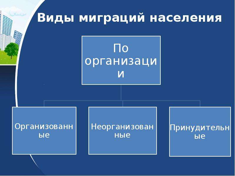 Проект миграционные процессы